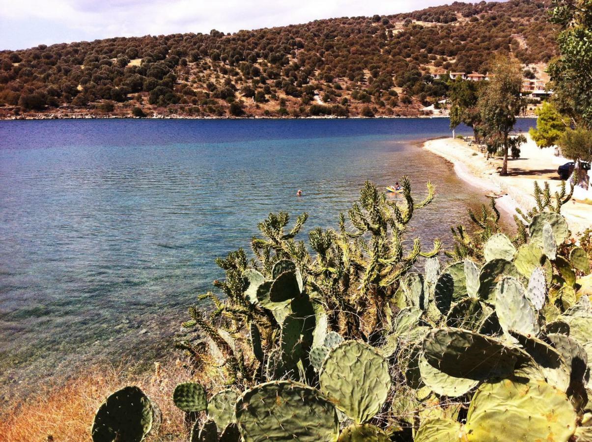 Sea Front Studio - Porto Boufalo - Evia ภายนอก รูปภาพ